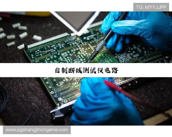 PG娱乐真人版全站登录引发行业关注，推动线上娱乐行业新变革